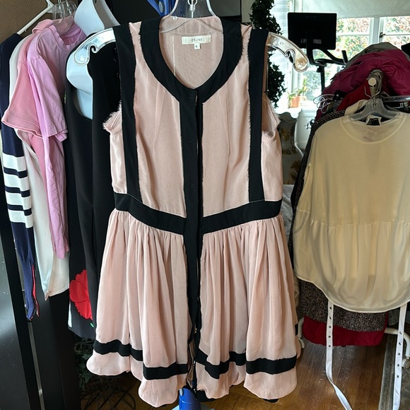 Celine Dresses & Skirts - Celine 70% silk dusty rose and black button up dress., size small.